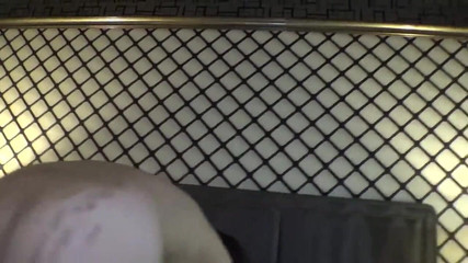 アジアの天使 12416