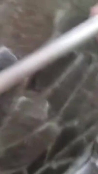 アジアの天使 23801