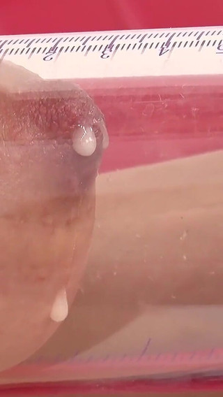 日向菜々子が乳首をパンパンに膨らませて締め付けて…白濁を漏らしちゃう。極度の接写ハメ撮り