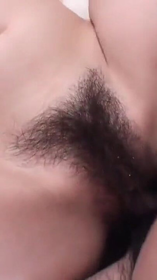 テイルズ オブ ゲイシャ LTG studio