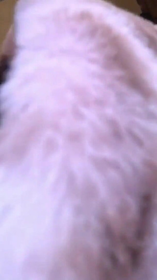 アジアン エンジェル 25579