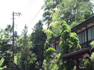 義母と二人きりの温泉旅行…Vol.2 3