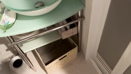 アジアン エンジェル 21741